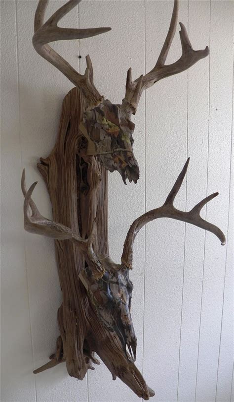 3,023 Sq. . Driftwood deer mount